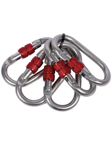 Climbing carabiner Camp Oval Standard Lock