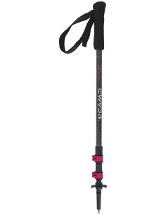 Kijki trekkingowe Camp Backcountry Carbon W
