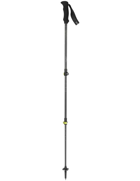 Kijki trekkingowe Camp Backcountry Carbon 2.0