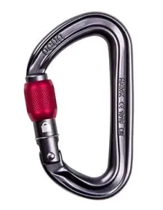 Karabinek wspinaczkowy Ocun Hawk Screw