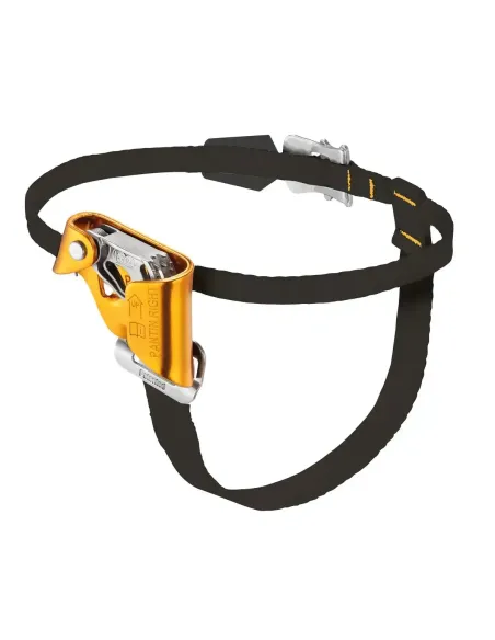Ascender Petzl Pantin right