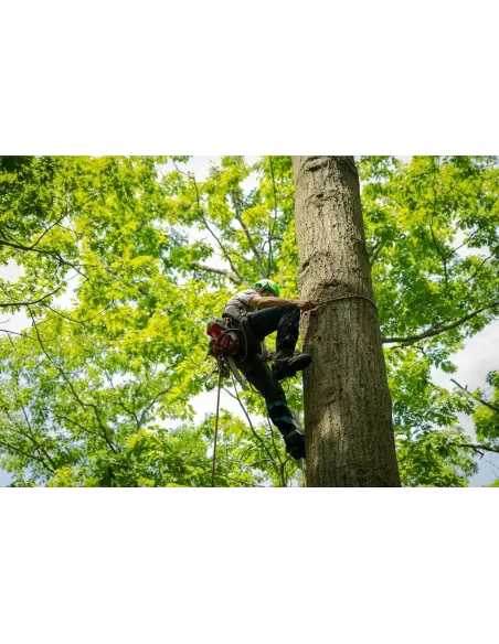 Drzewołazy Notch Ergo Steel Tree Gaffs