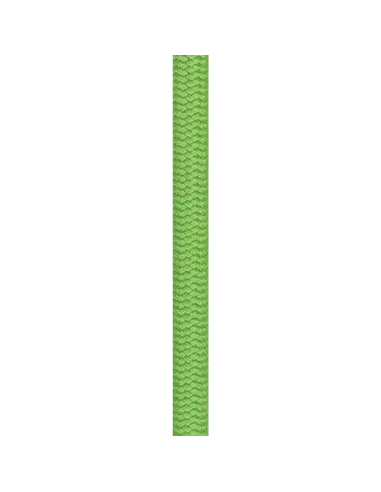 Climbing rope Beal Wall School Unicore 10,2mm Green 30m