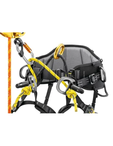 Uprząż arborystyczna Petzl Sequoia