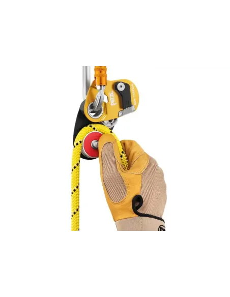 Pulley Petzl Mini Traxion