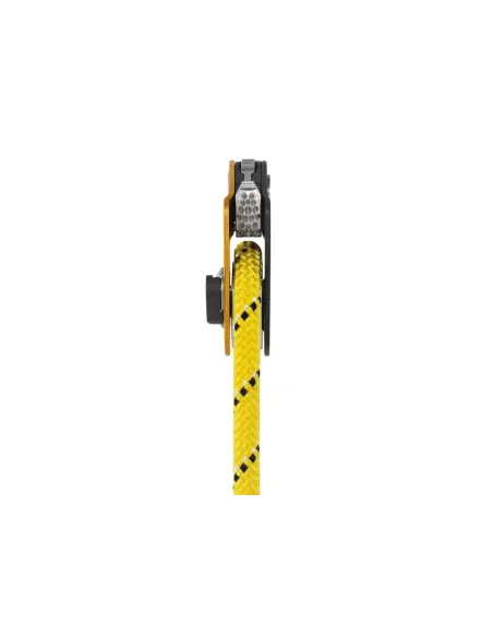 Pulley Petzl Mini Traxion