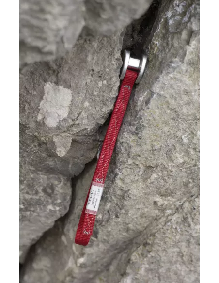 Rock protection Camp Tricam Evo 0.25