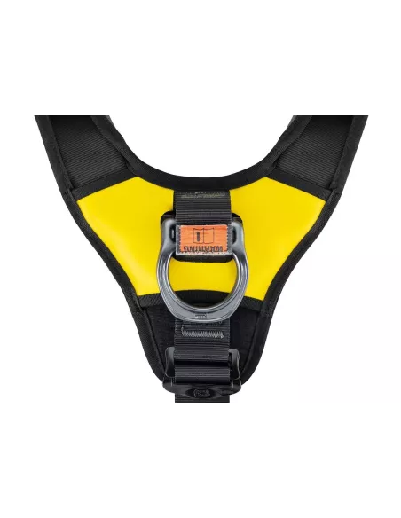 Harness Petzl Astro Bod Fast International
