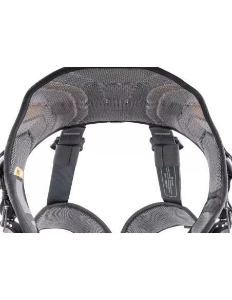 Harness Petzl Avao Bod Fast International