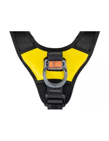 Harness Petzl Avao Bod Fast International