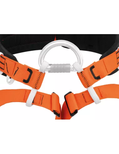 Harness Petzl Aven