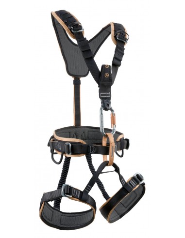 Harness Rock Empire Equip