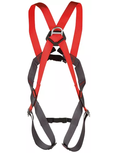 Harness Camp Basic Duo