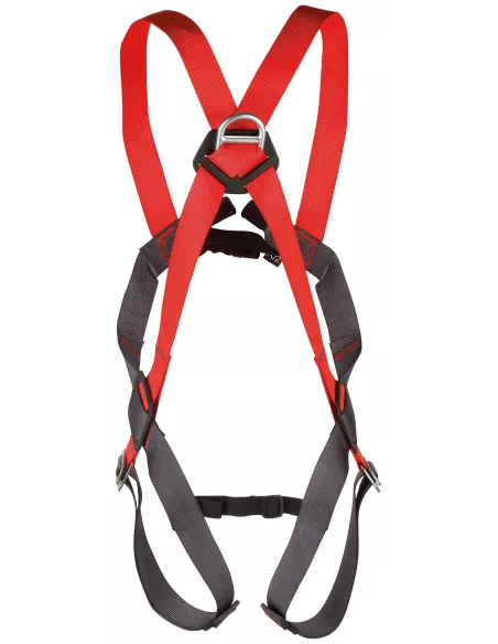Harness Camp Basic Duo