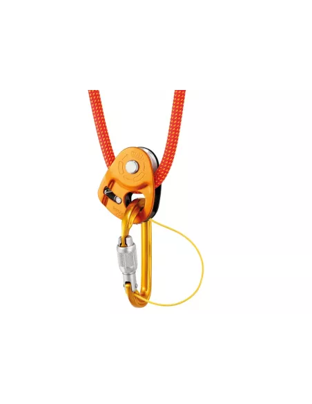 Bloczek z blokadą Petzl Micro Traxion