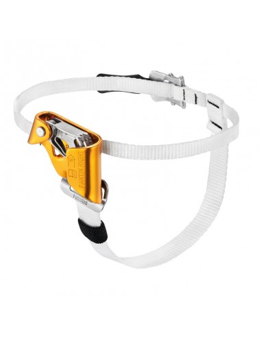 Ascender Petzl Pantin right