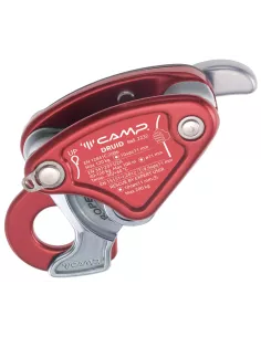 Descender Camp Druid