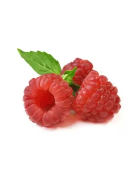 Freeze-dried fruit Elena LioFi Chips raspberry 30g