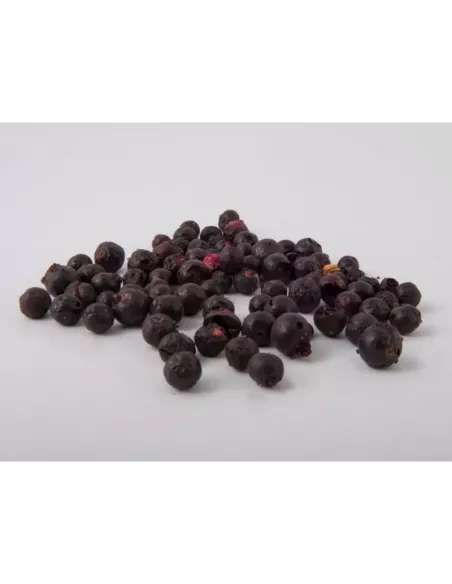 Elena LioFi Chips czarna porzeczka 30g