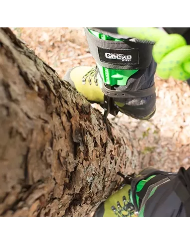 Notch Gecko Steel Climbers Tree Gaffs