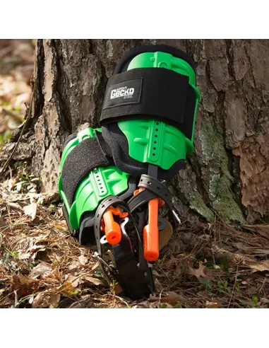 Notch Gecko Steel Climbers Tree Gaffs