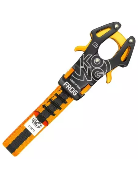 Ekspres Kong Frog