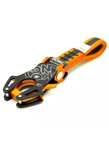 Ekspres Kong Frog