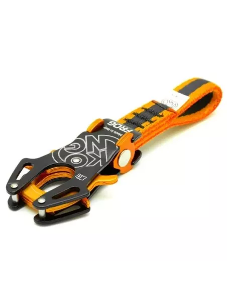 Ekspres Kong Frog