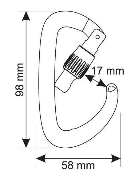 Carabiner Camp Orbit Lock Gun metal Carabiner Camp Orbit Lock Gun metal