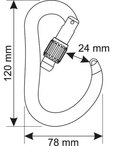 Karabinek wspinaczkowy Camp Atom Lock Gun metal