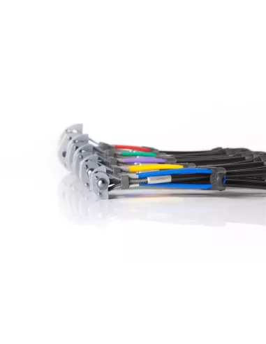 Friend Totem Cam 0.65