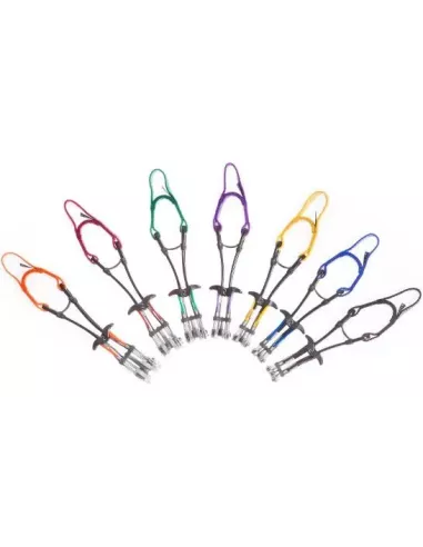 Friend Totem Cam 0.65