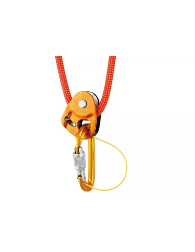 Karabinek Petzl Sm'D Screw Lock