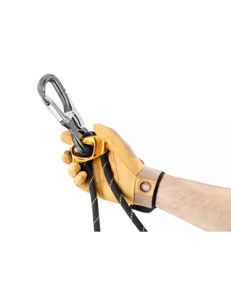 Climbing carabiner Petzl Eashook Open