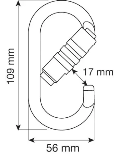 Climbing carabiner Camp Oval Pro 2Lock
