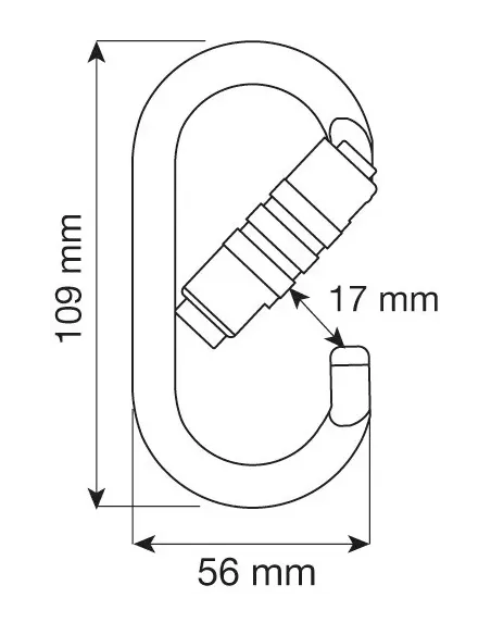 Climbing carabiner Camp Oval Pro 2Lock