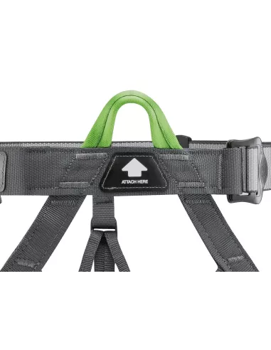 Harness Petzl Pandion