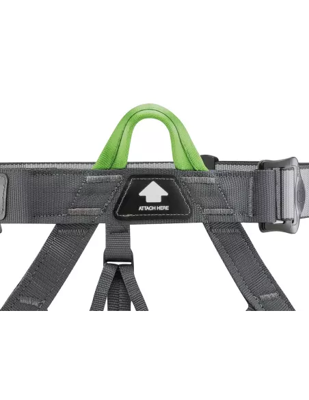 Harness Petzl Pandion