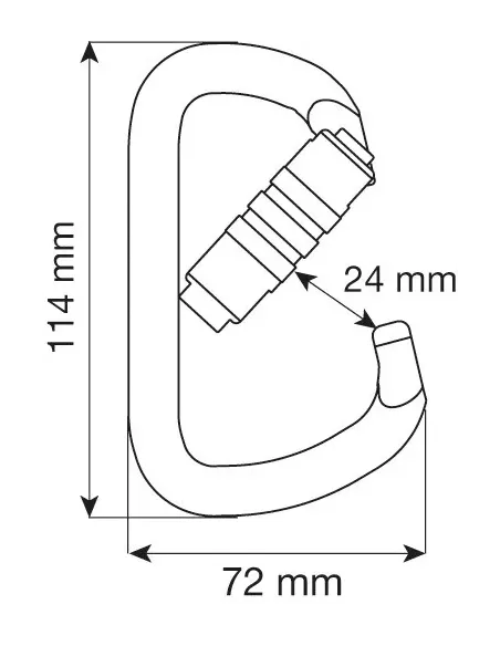 Climbing carabiner Camp D Pro 2Lock