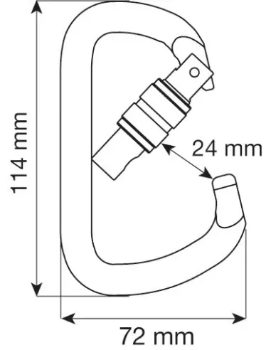 Climbing carabiner Camp D Pro Lock