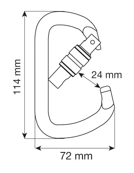 Climbing carabiner Camp D Pro Lock