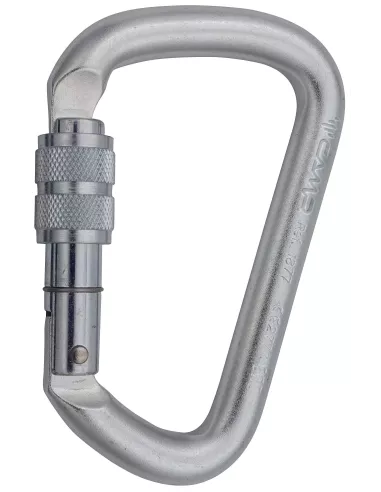 Climbing carabiner Camp D Pro Lock