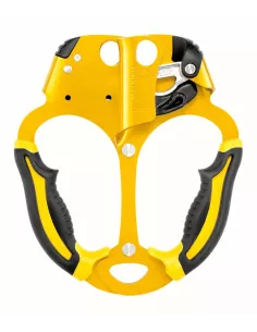 Ascender Petzl Ascentree