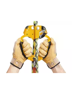 Ascender Petzl Ascentree 2