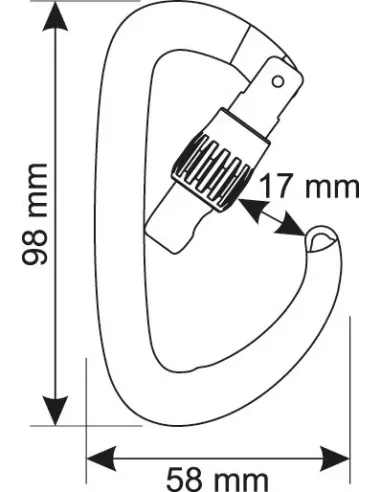 Karabinek wspinaczkowy Camp Orbit Lock Orange