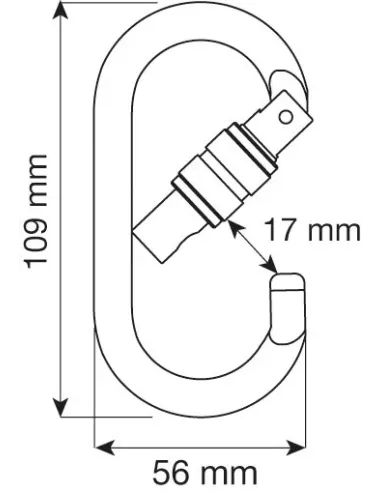 Climbing carabiner Camp Oval Pro Lock