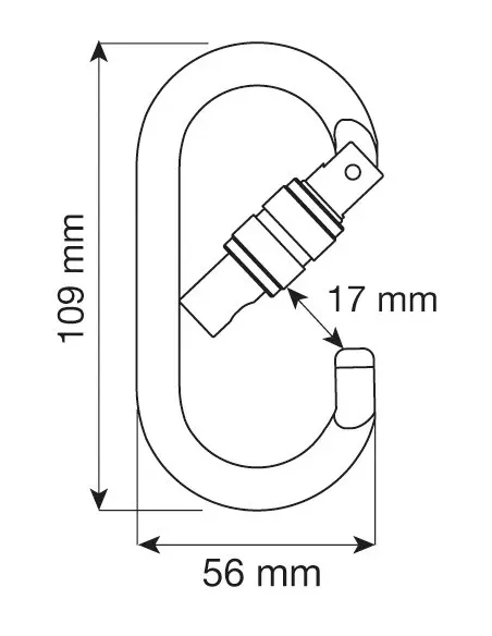 Climbing carabiner Camp Oval Pro Lock