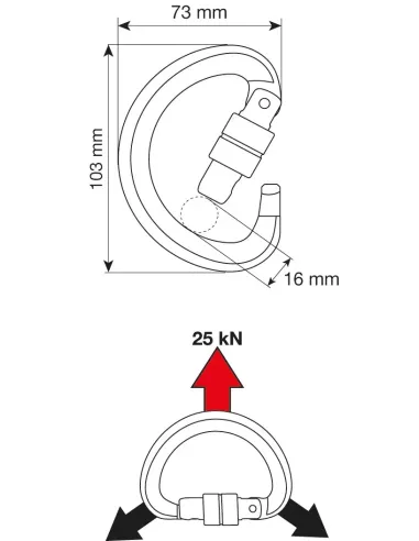 Climbing carabiner Camp Triad Lock