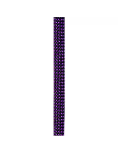 Climbing rope Beal Joker Unicore 9,1mm Dry Cover Purple 60m