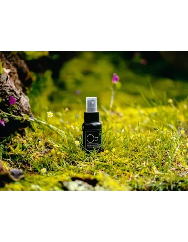 Odświeżacz do butów Sneaker LAB Odor Protector 50ml